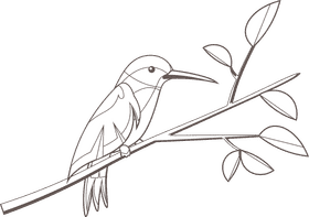Hummingbird black and white clipart