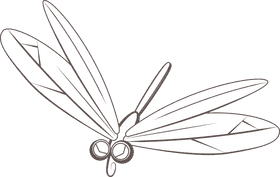 Dragonfly black and white clipart