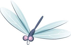 Dragonfly clipart