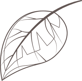 Leaf black and white clipart