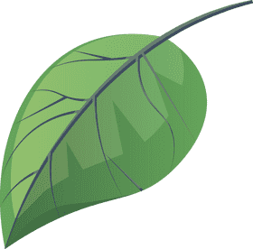 Leaf clipart