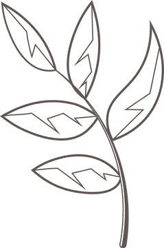 Leaves black and white clipart