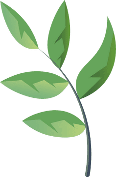 Leaves clipart