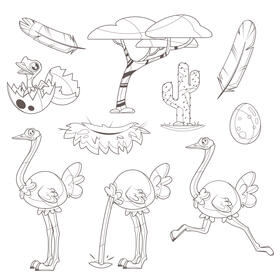 Ostrich set black and white vector