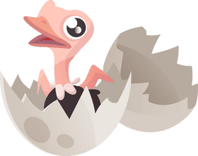 Baby ostrich clipart
