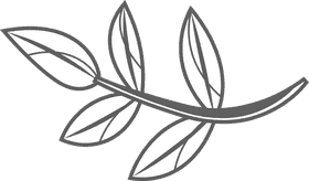 Branch black and white clipart