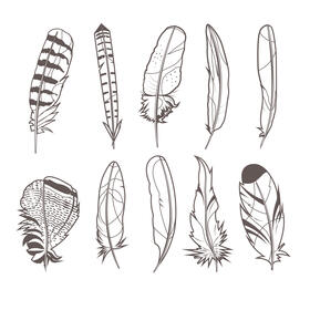 Feathers set black and white vector