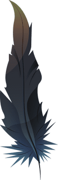 Black feather clipart