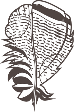 Big feather black and white clipart