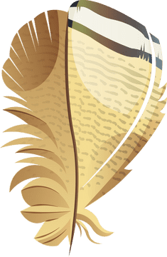 Big feather clipart