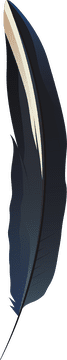 Black feather clipart