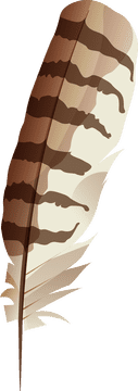 Feather clipart