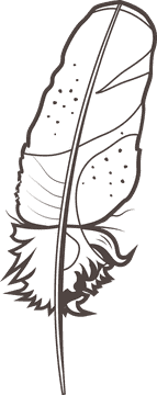 Brown feather black and white clipart
