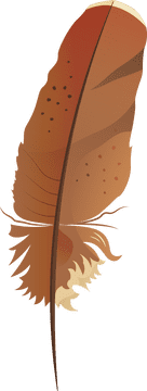 Brown feather clipart