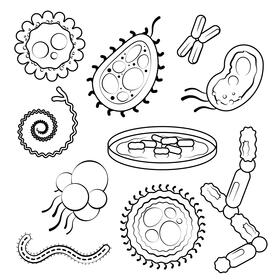 Bacteria set black and white vector