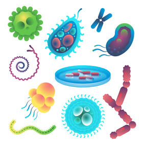Bacteria set vector
