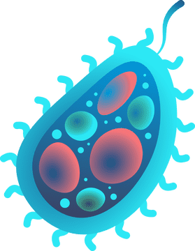 Bacteria clipart