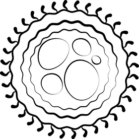 Bacteria black and white clipart