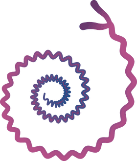 Bacteria clipart