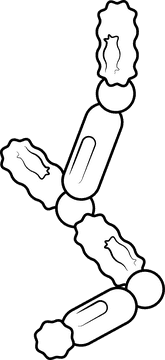 Bacteria black and white clipart