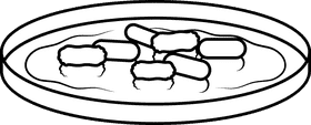 Bacteria black and white clipart
