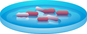Bacteria clipart