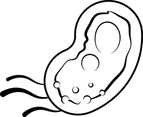 Bacteria black and white clipart