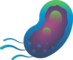 Bacteria clipart