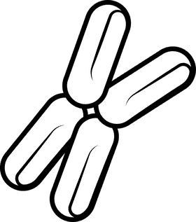 Bacteria black and white clipart