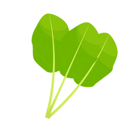 Spinach clipart