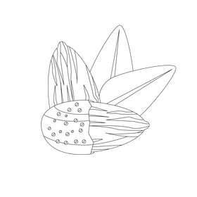 Almond black and white clipart