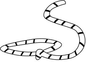 Rodeo Lasso black and white clipart