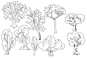 Fruit Tree black and white vector