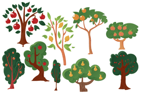 Fruit Tree vector
