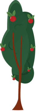 Fruit Tree Apple Small clipart