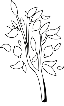 Fruit Tree Lemon black and white clipart