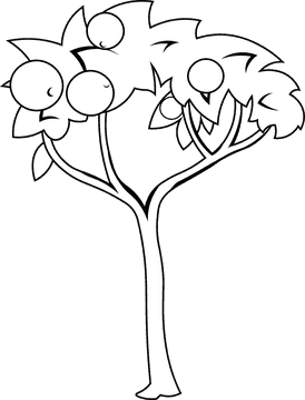 Fruit Tree Orange black and white clipart