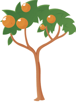 Fruit Tree Orange clipart