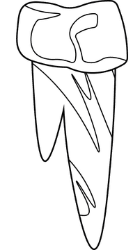 Icicle black and white clipart