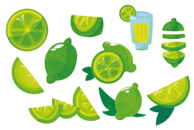 Lime vector