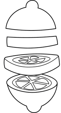 Lime Sliced black and white clipart