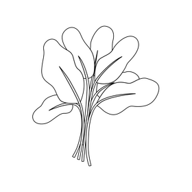 Spinach leaves black and white clipart