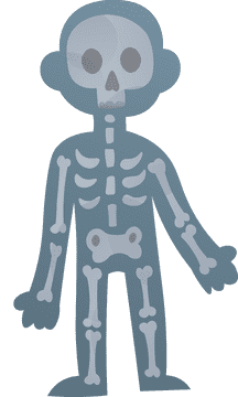 Xray Full Body clipart