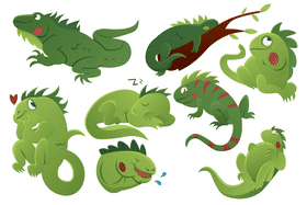 Iguana vector