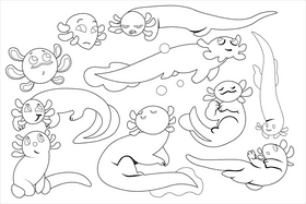 Axolotl black and white vector