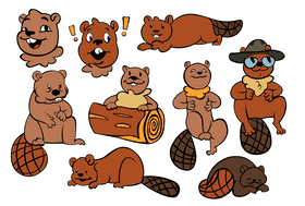 Cute Beaver vector