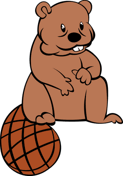 Beaver Sitting clipart