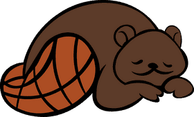 Beaver Sleep clipart