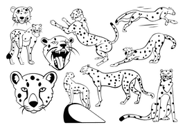 Cheetah black and white vector