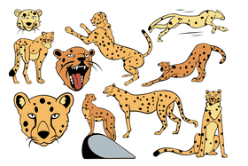 Cheetah vector